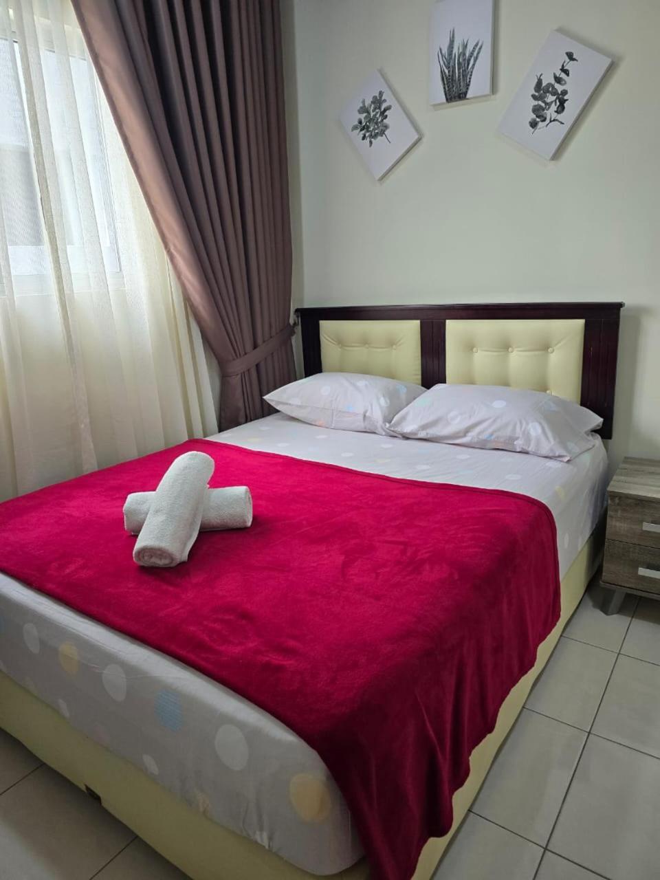 Casa D'Faiz Alanis near KLIA pool olympic size photo 2