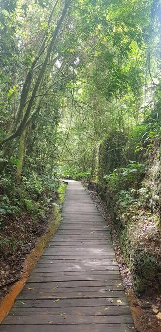 quarto Refúgio no Bosque