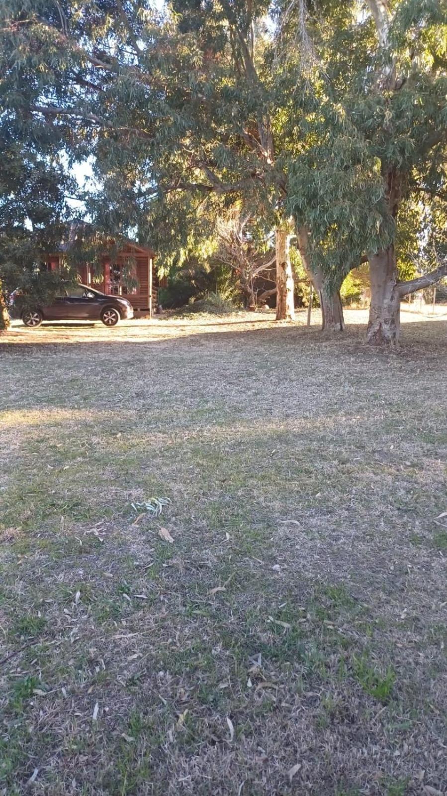 Cabañas Las Lechuzas