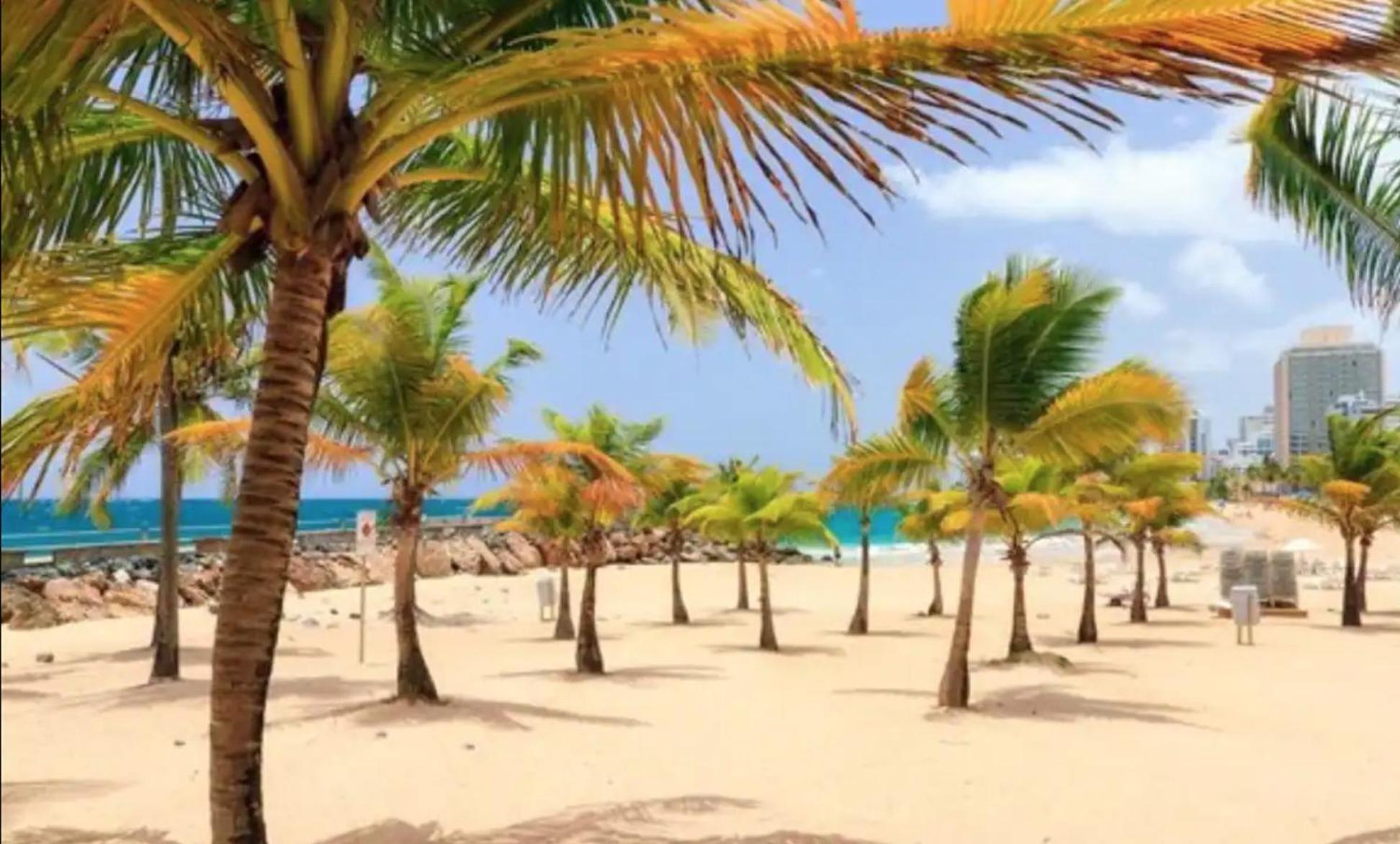 Great Condo Near Beach, Lagoon & Fun view 2
