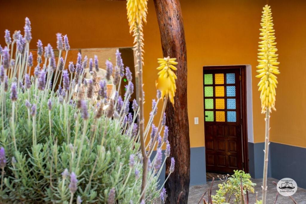Cabaña OM