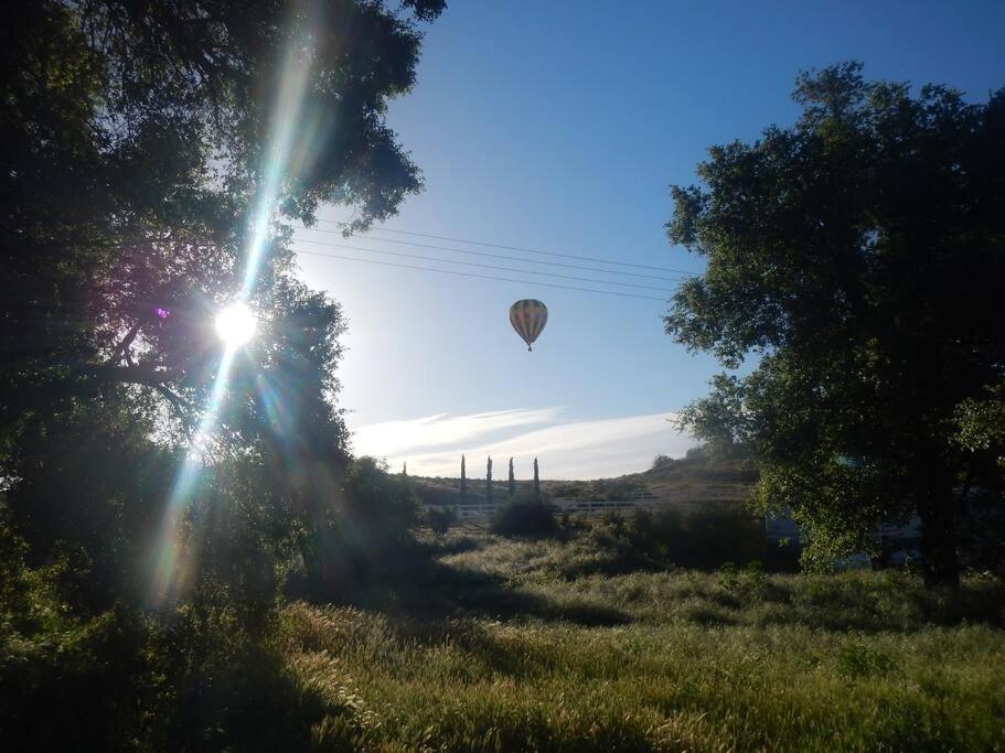 Temecula Wine Country Ranch with 200 year old oaks view 2