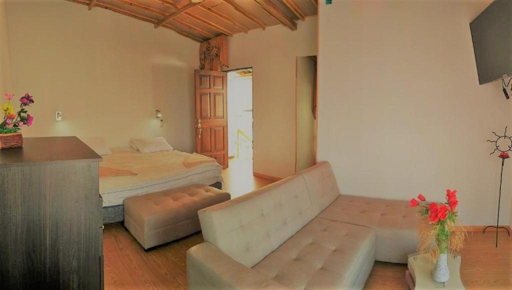 apto centrico view 5
