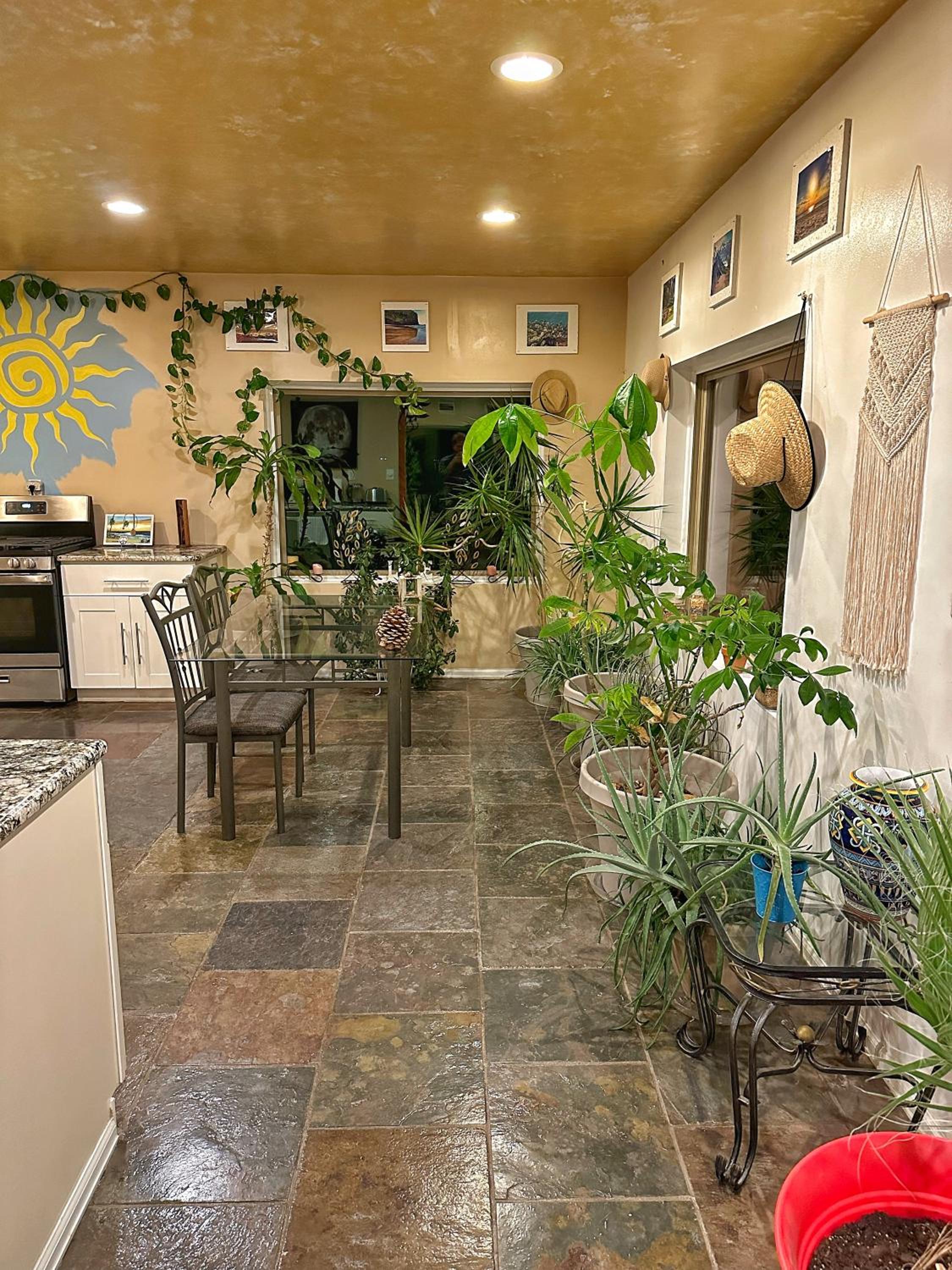 Colby Vacations - Hippie Chic Oasis - Property Image 3
