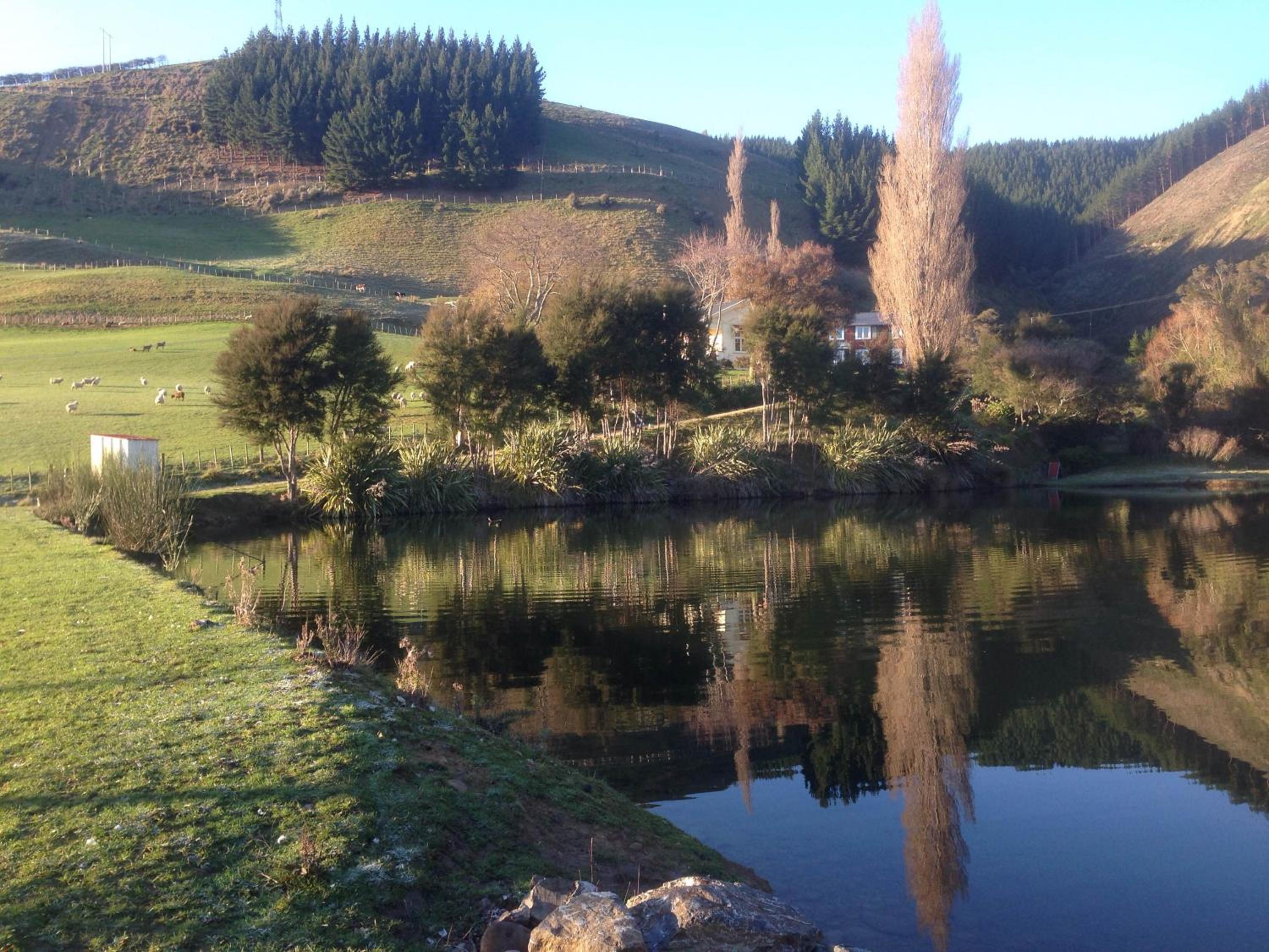 The Pear Orchard Lodge