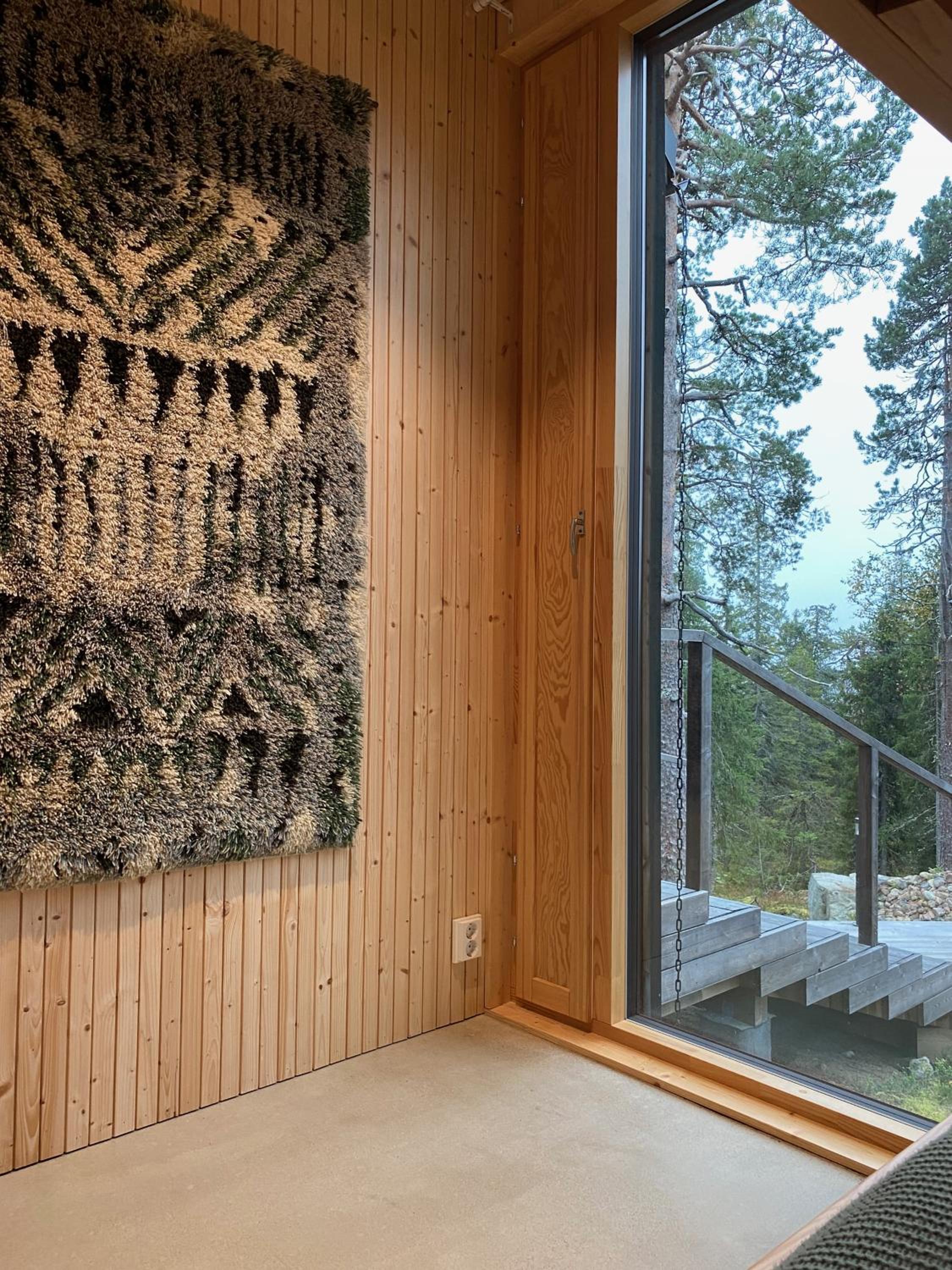 Syötteen Kajo
