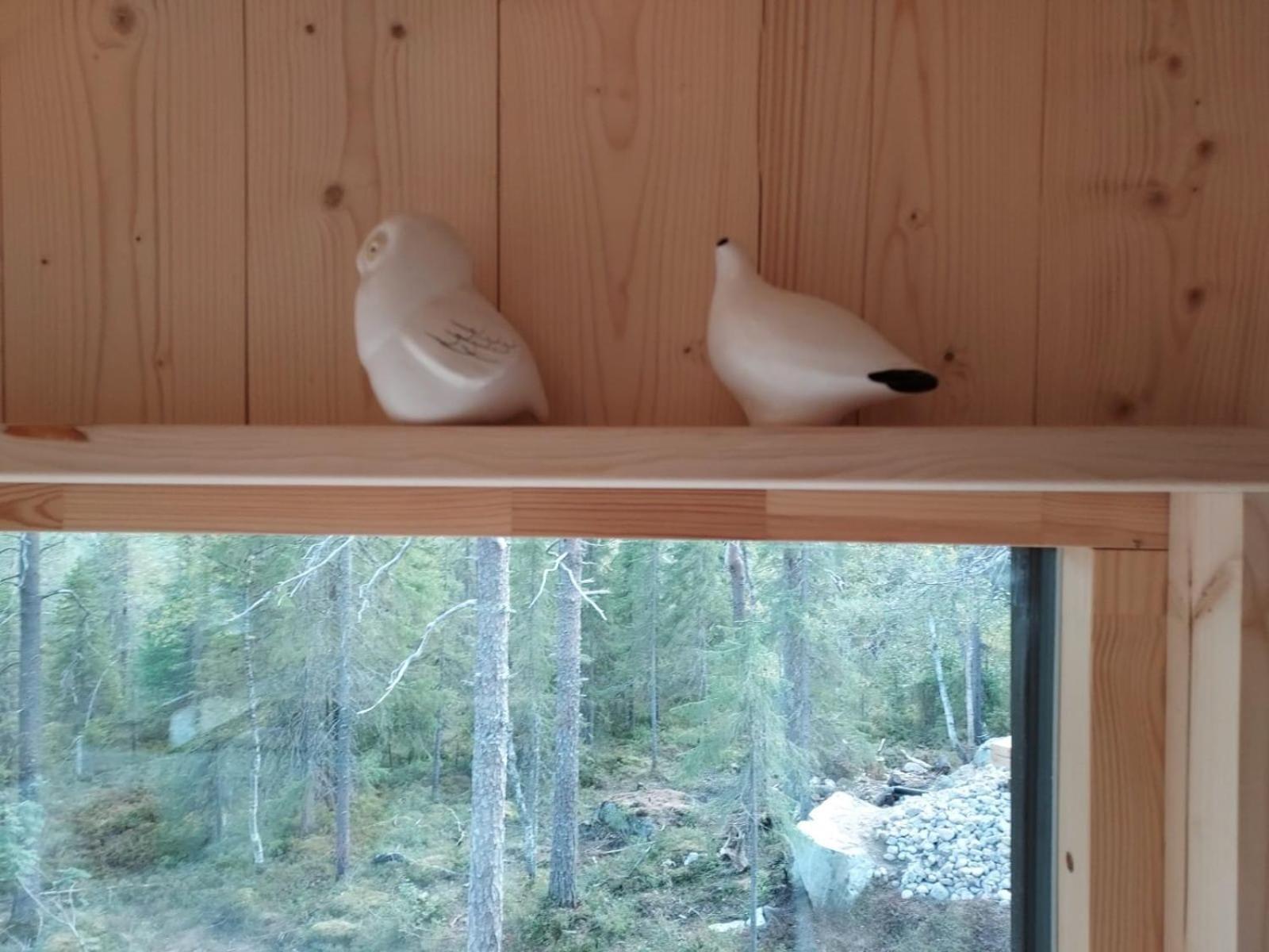 Syötteen Kajo