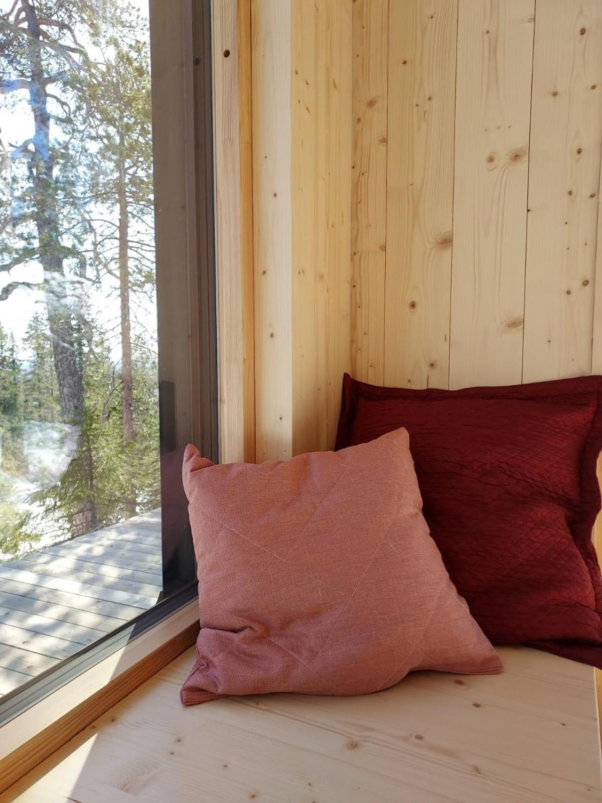 Syötteen Kajo