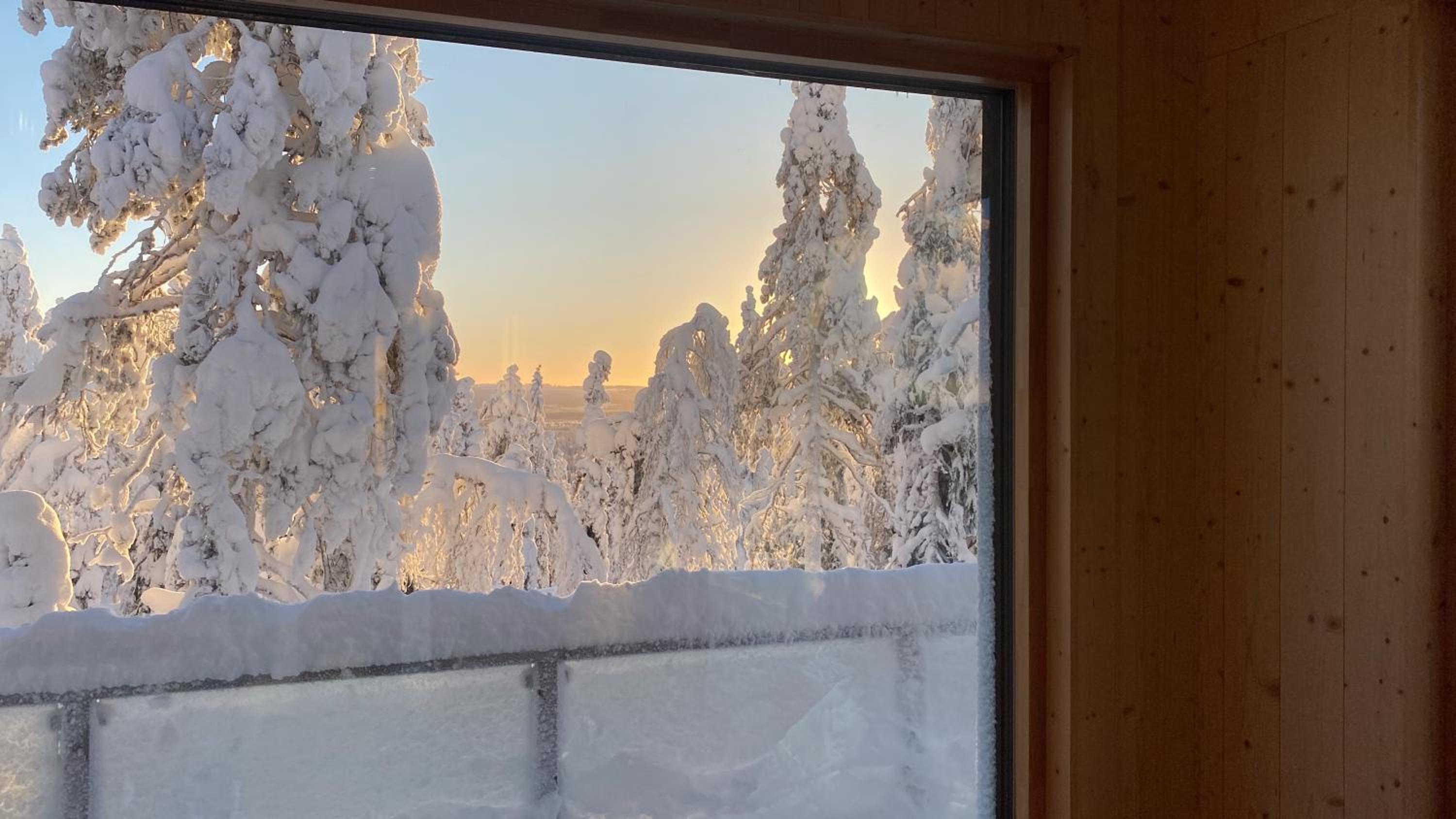 Syötteen Kajo