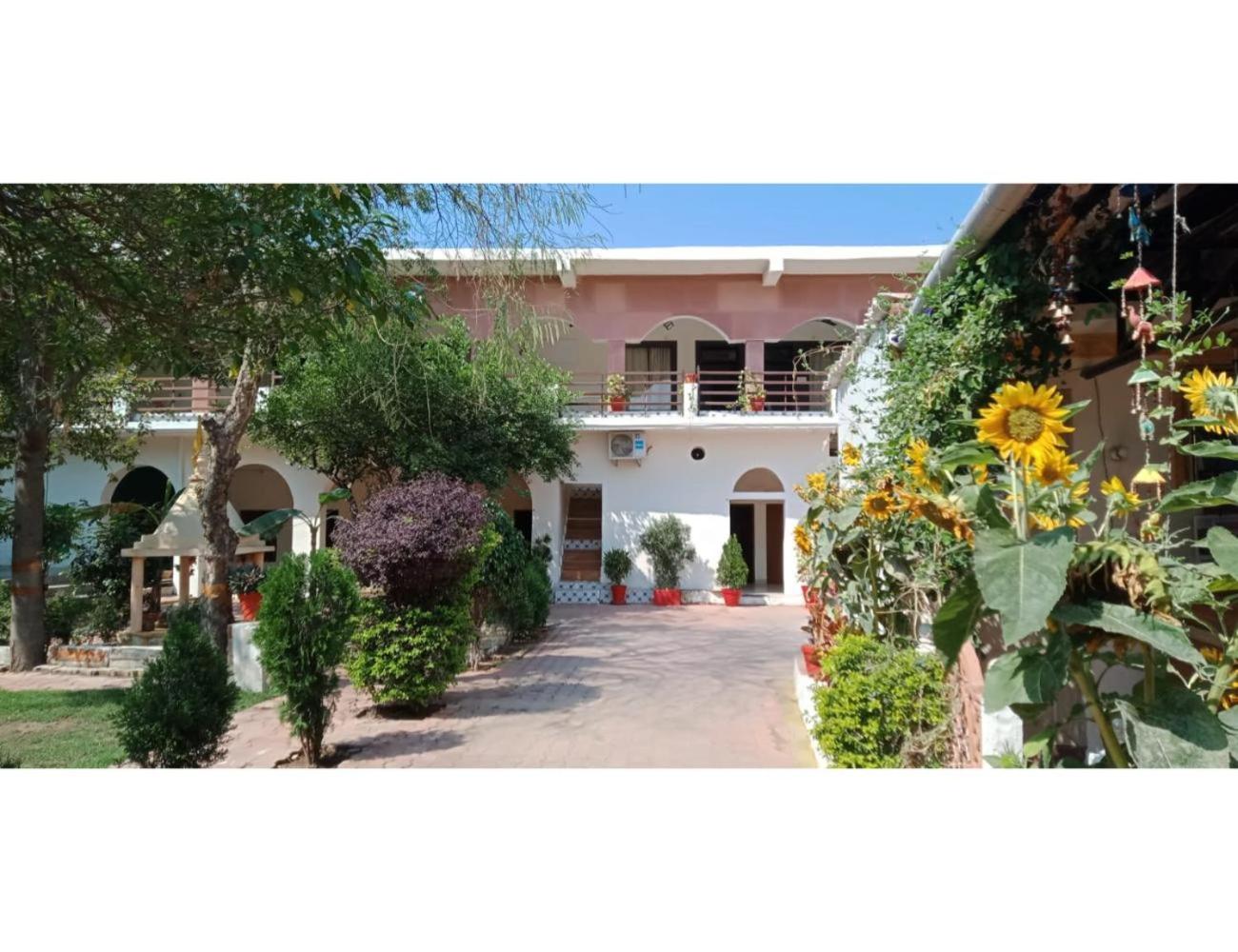 Mridul Homestay Orchha, Madhya Pradesh view 2