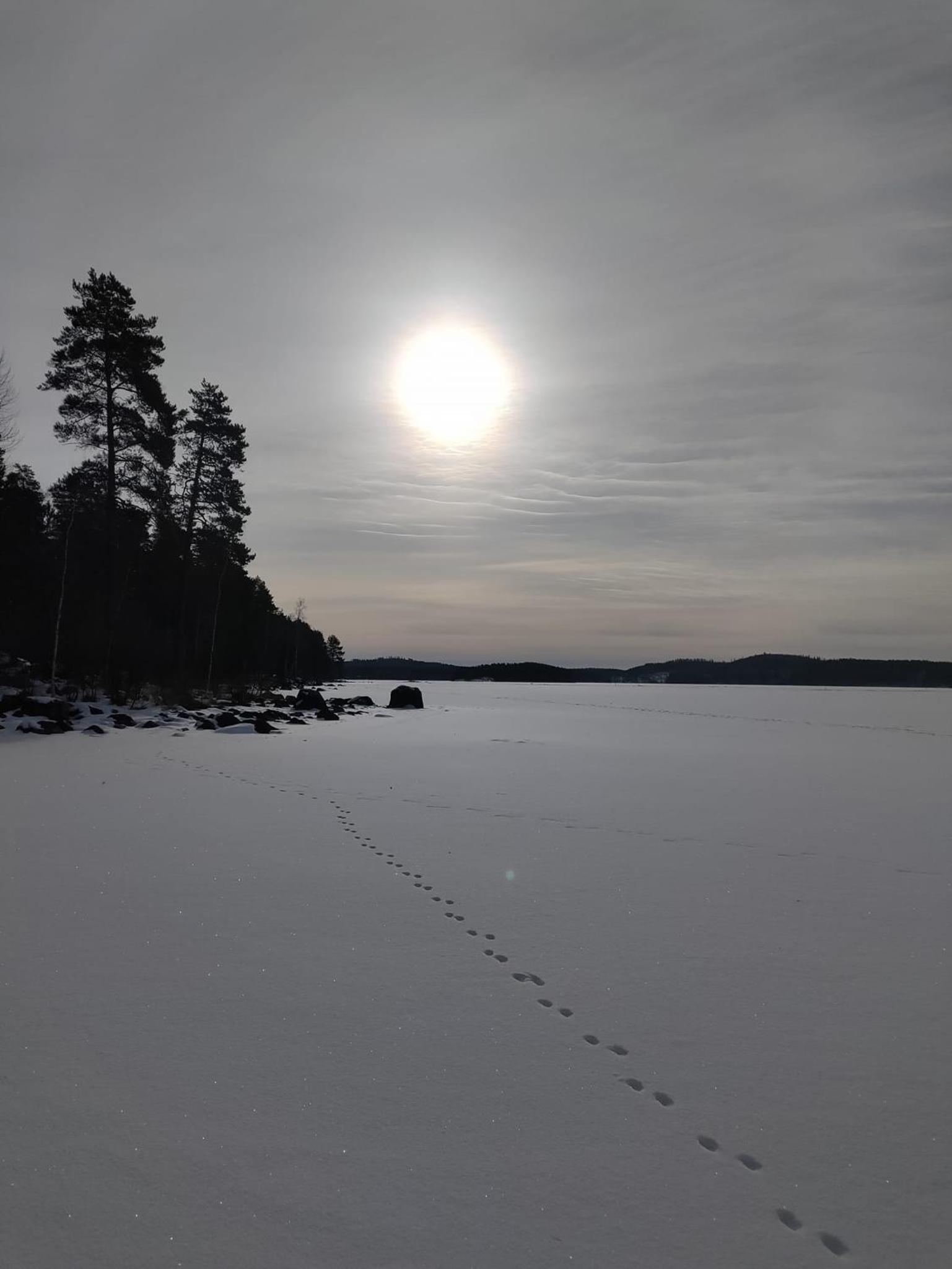 Poukama Cottage Päijätsalo