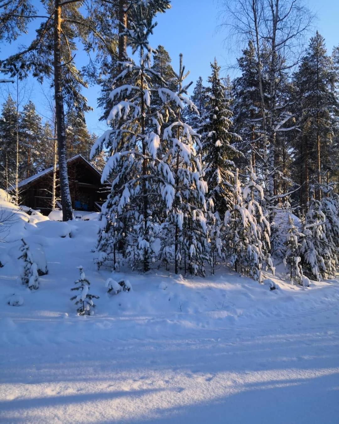 Poukama Cottage Päijätsalo