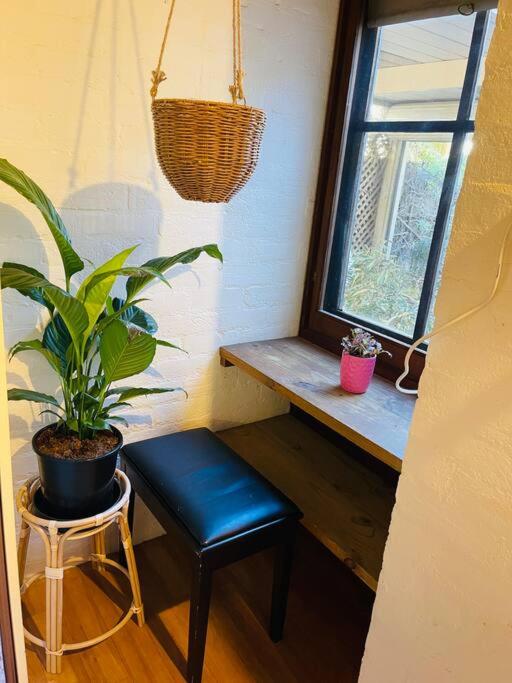 Cozy Bluestone House in Norwood Perfect for Families and Their Pets