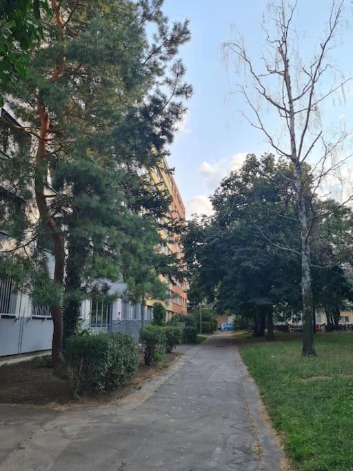 Linhs place