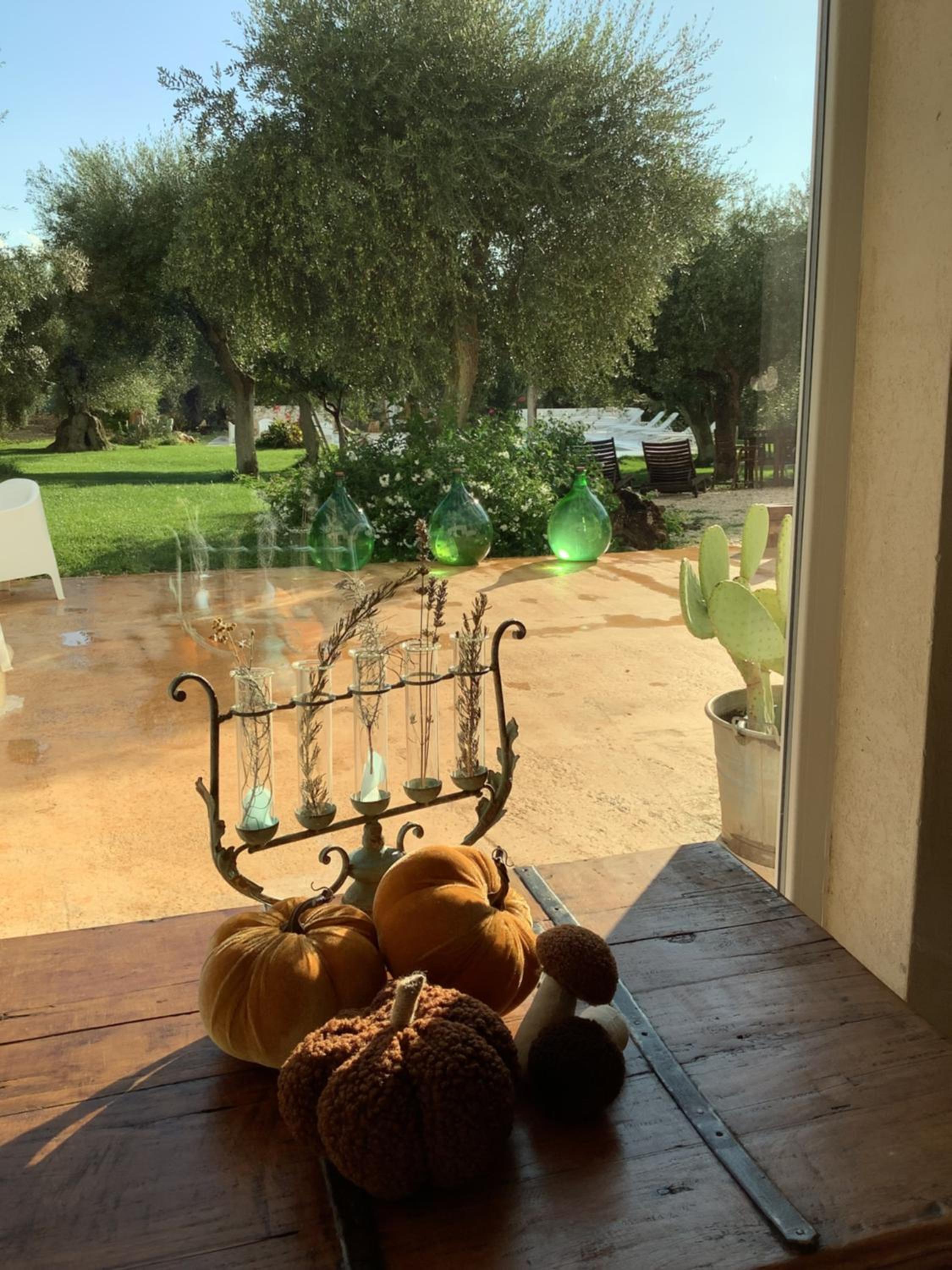 AD&DIMORE L'ANTICO TRULLO view 4