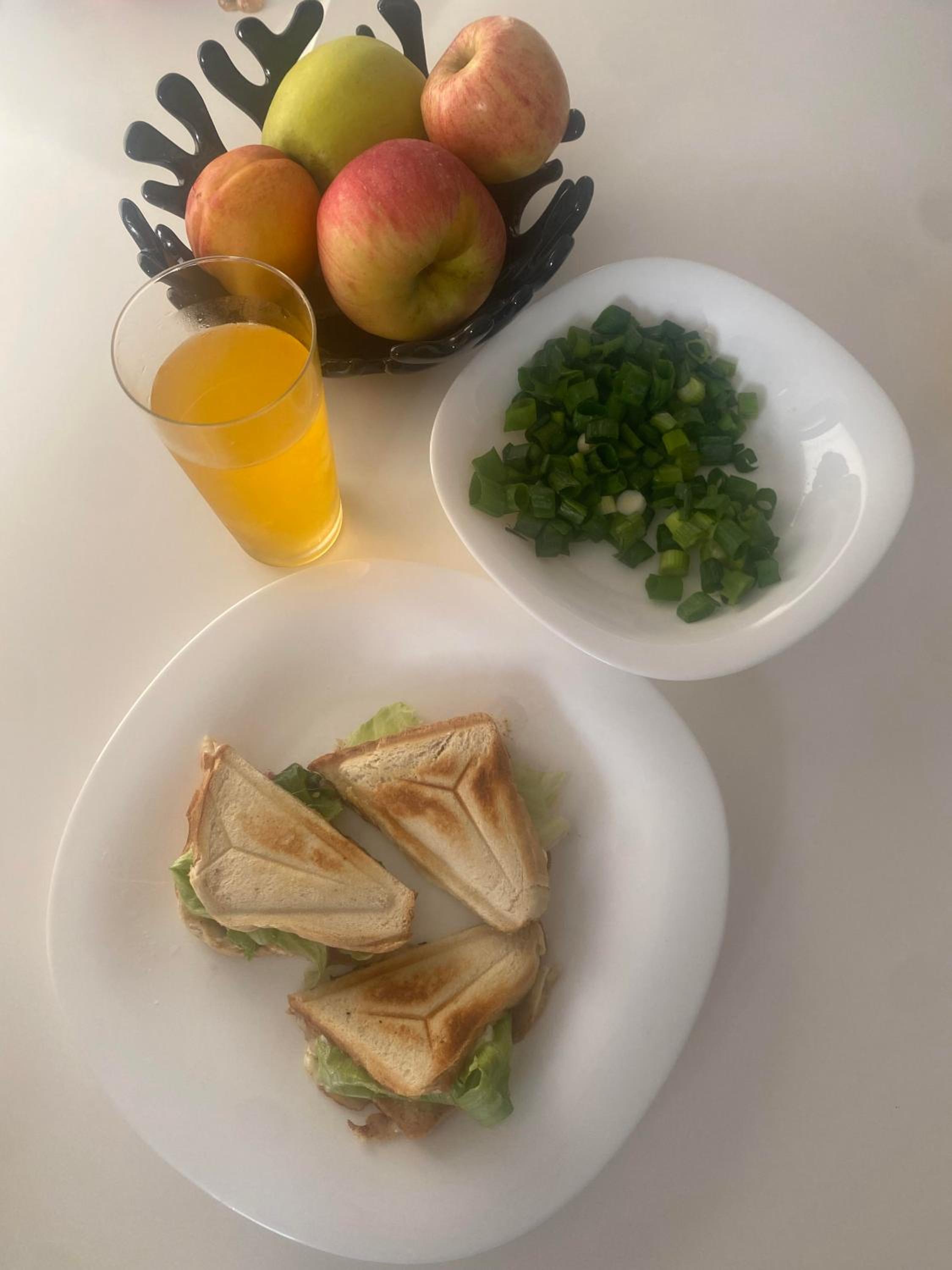 Apartmán s wellnessom
