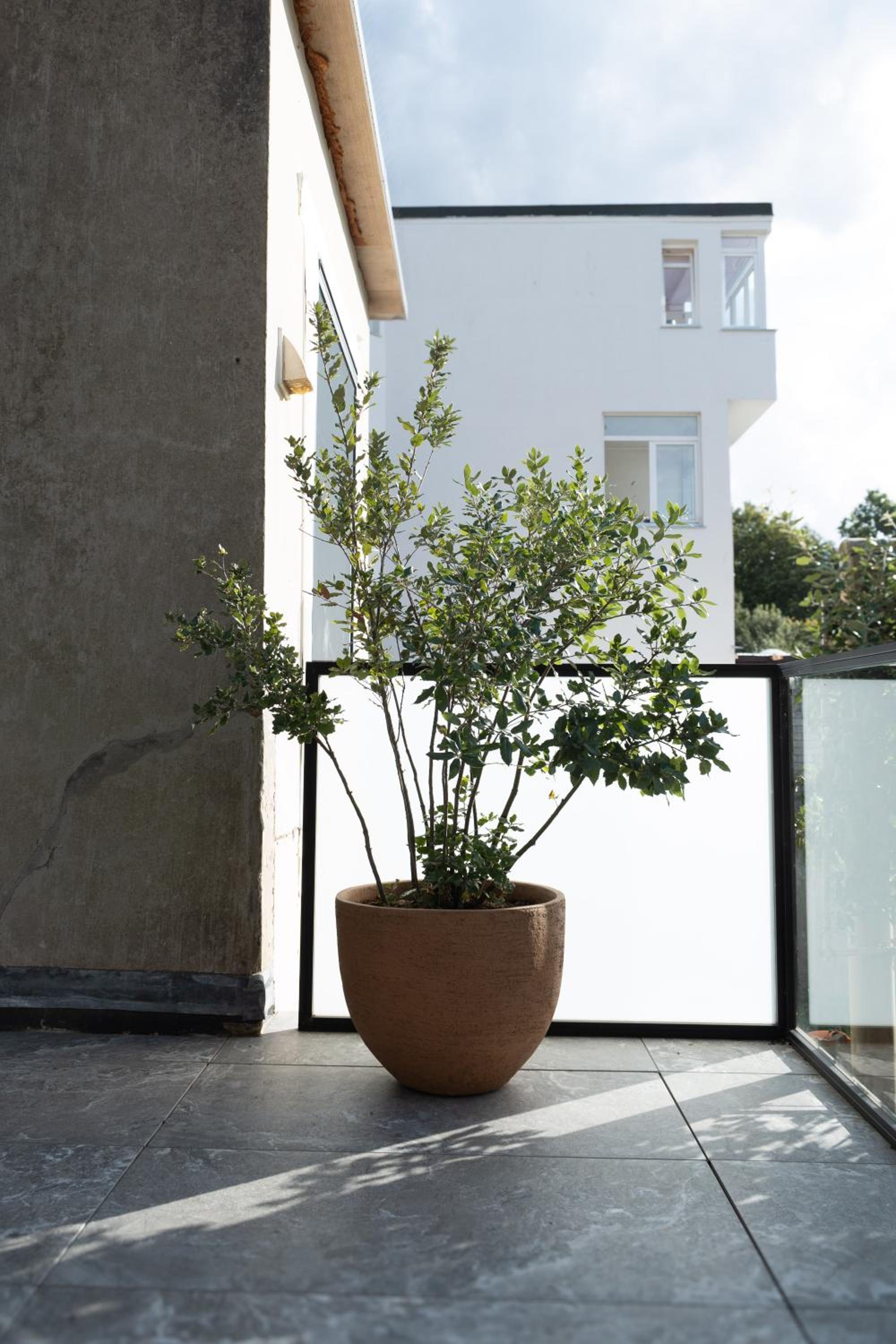 Huis Agnes