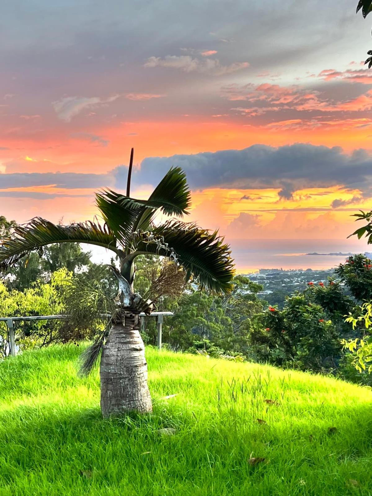 Photo 33