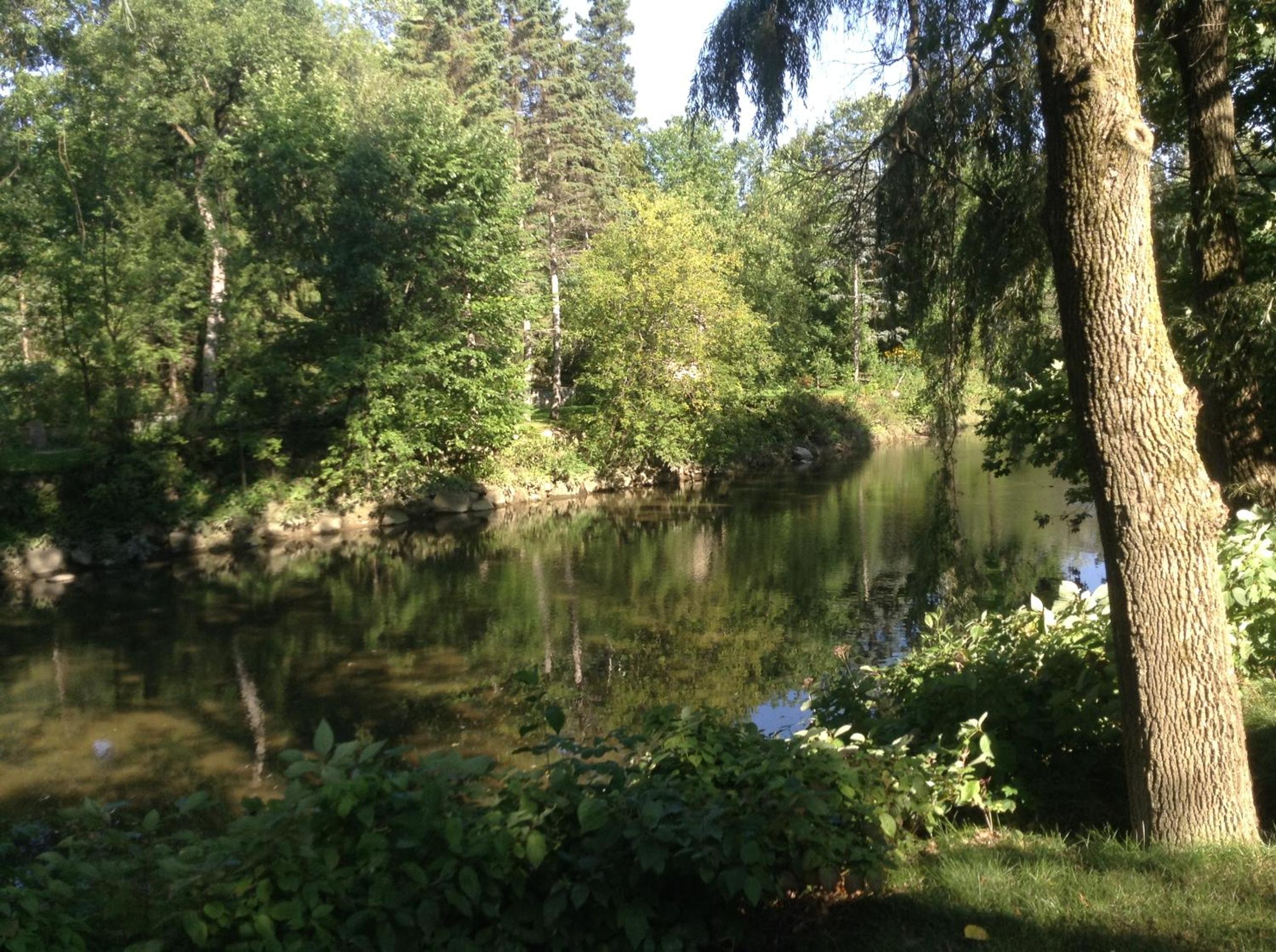 Nature in the middle of the city