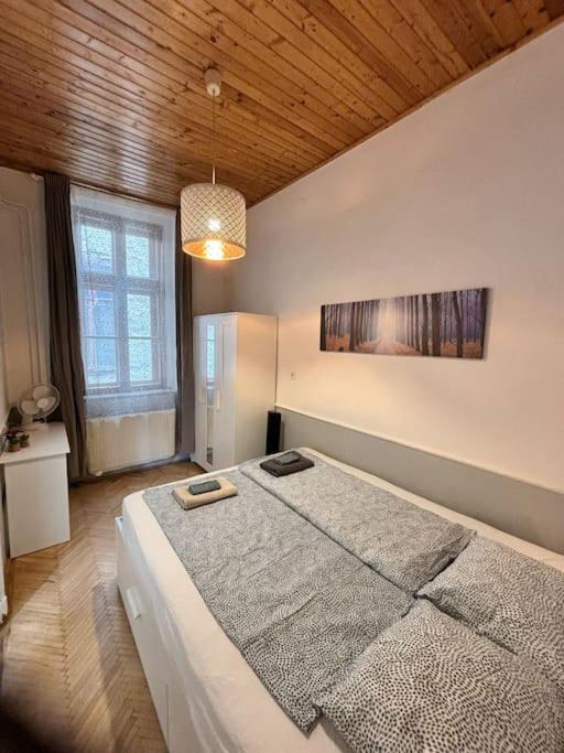 Quiet cabin in city center