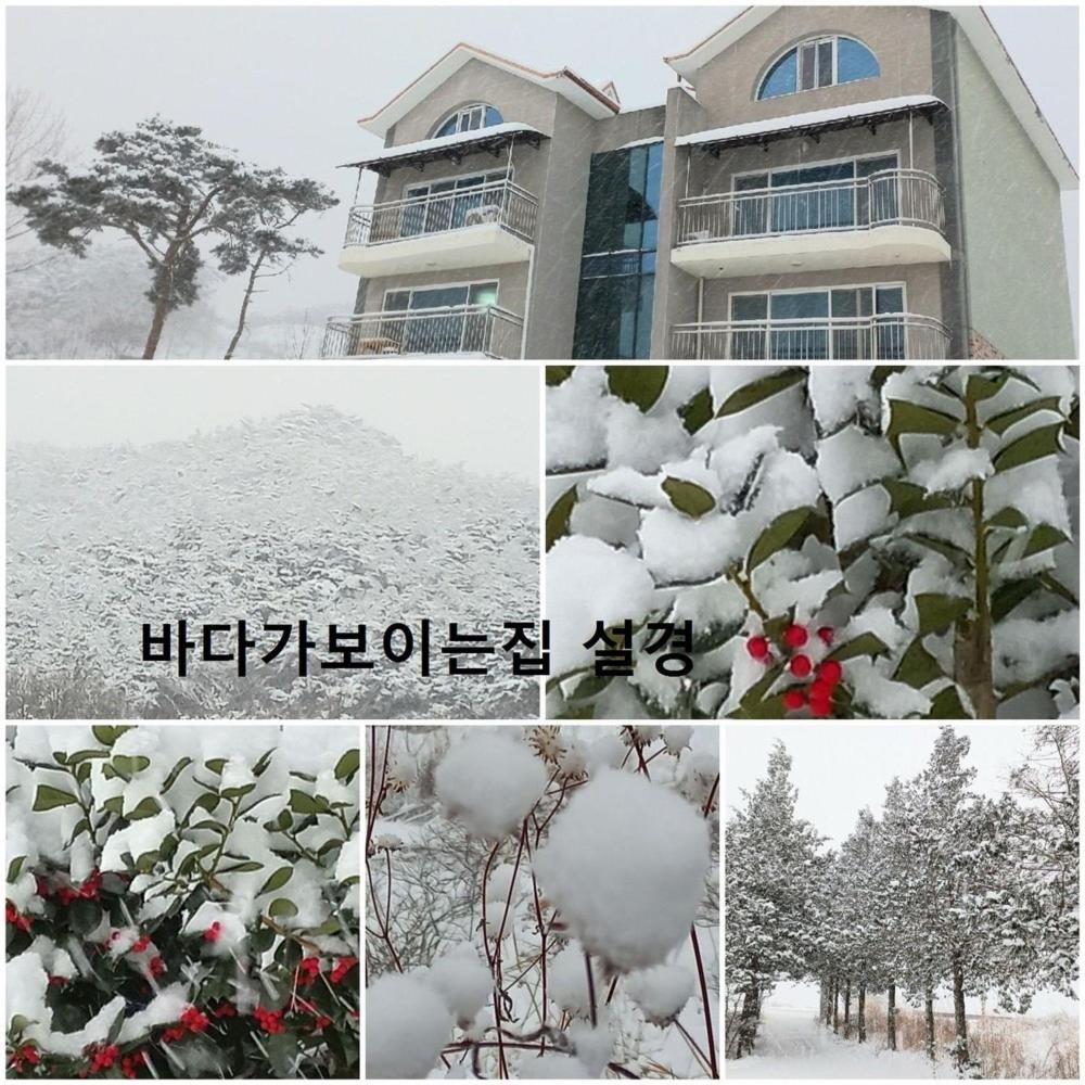 Badagaboineun Pension view 2