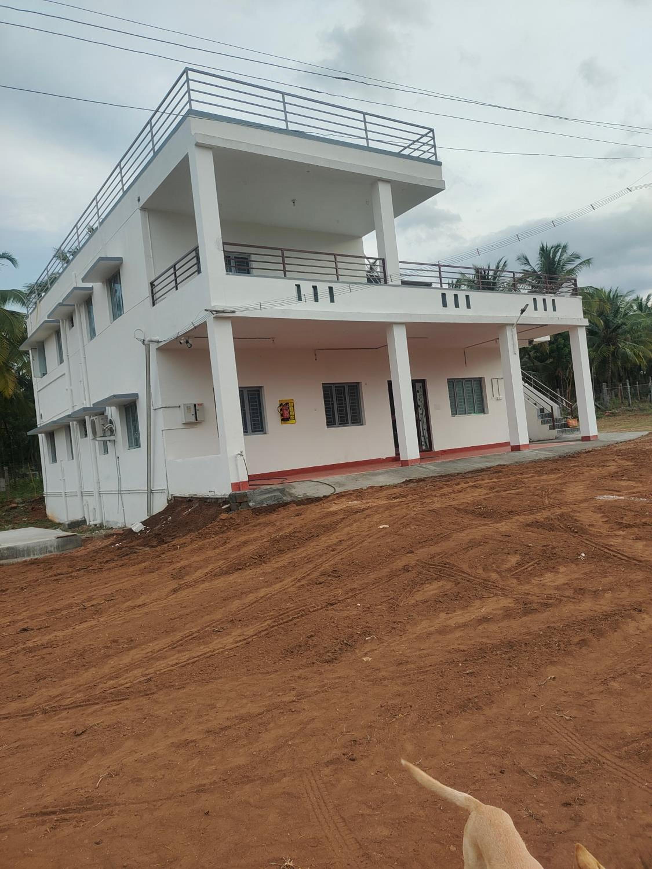 Photo 7