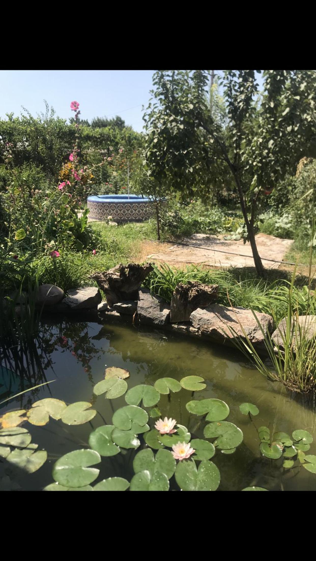 Halal Guesthouse and Garden view 2