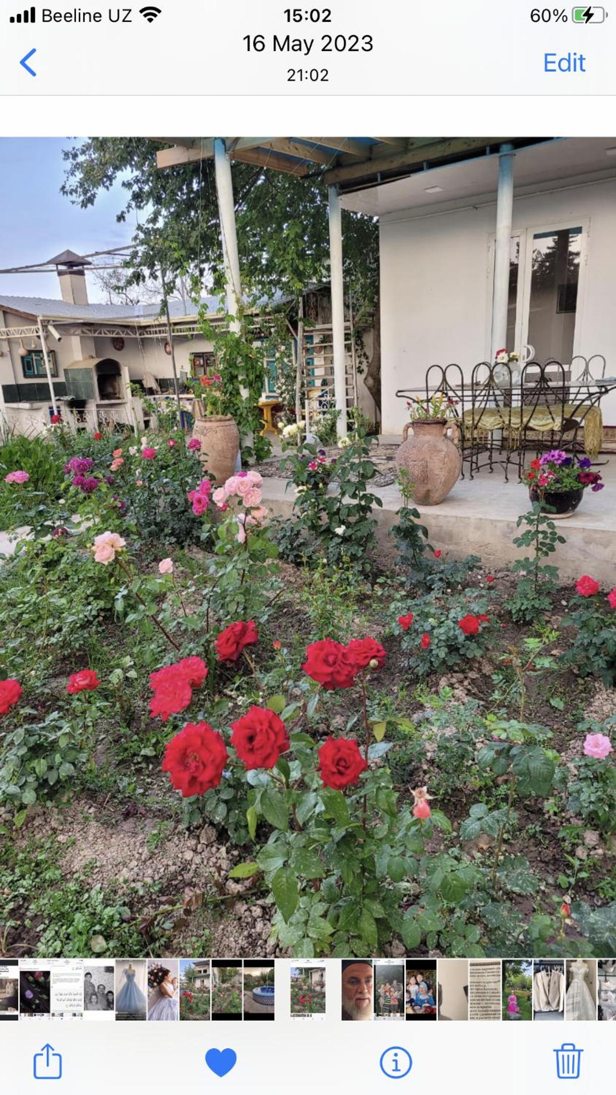 Halal Guesthouse and Garden view 3