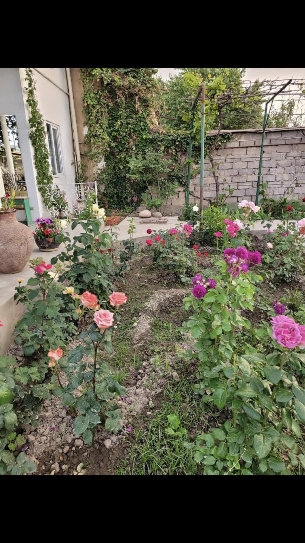 Halal Guesthouse and Garden view 4