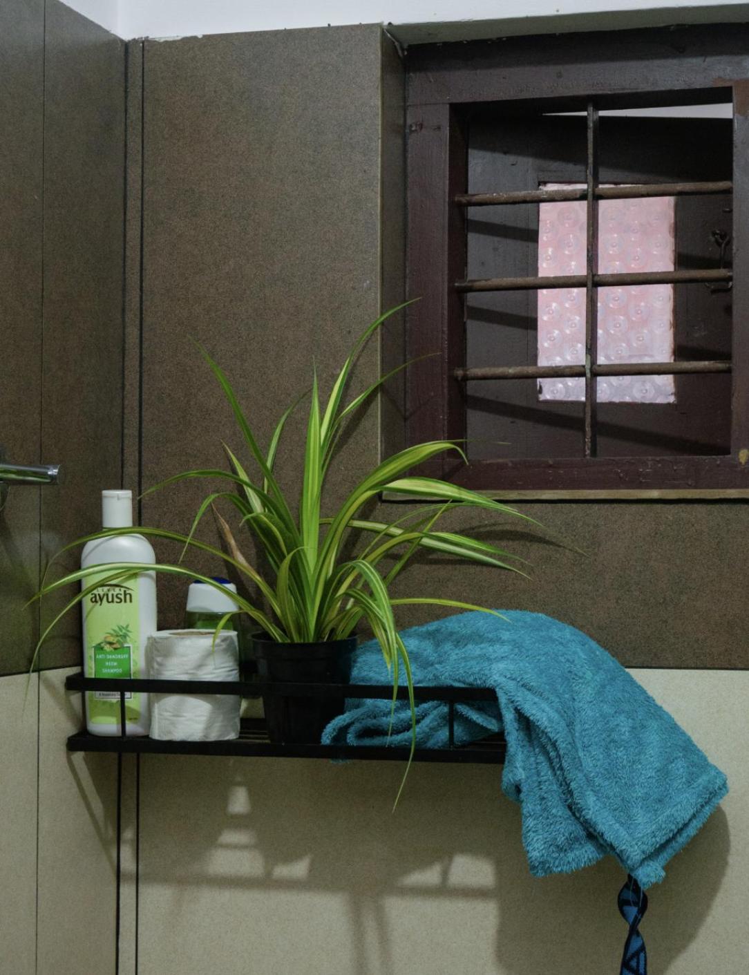 Varkala Life Homestay