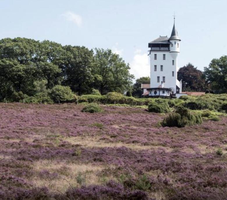 Familiehuis Het Gouden Plekje