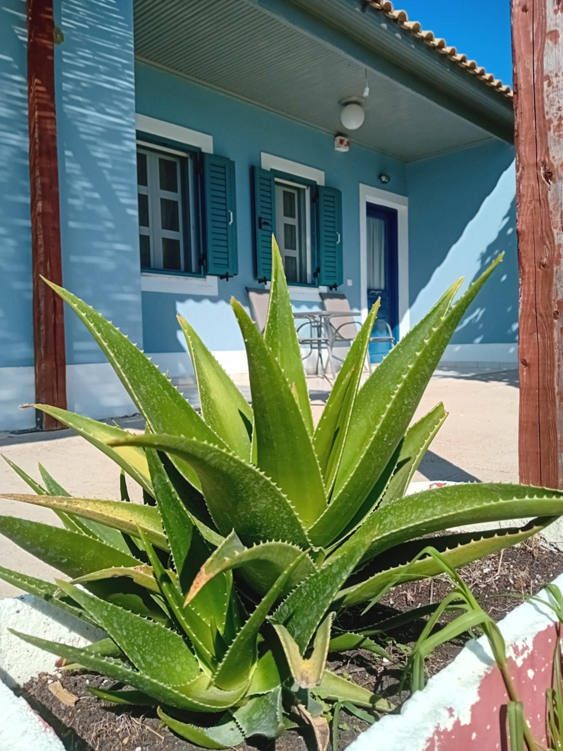 PETROS ROOMS to LET KALOGRIA BEACH view 3