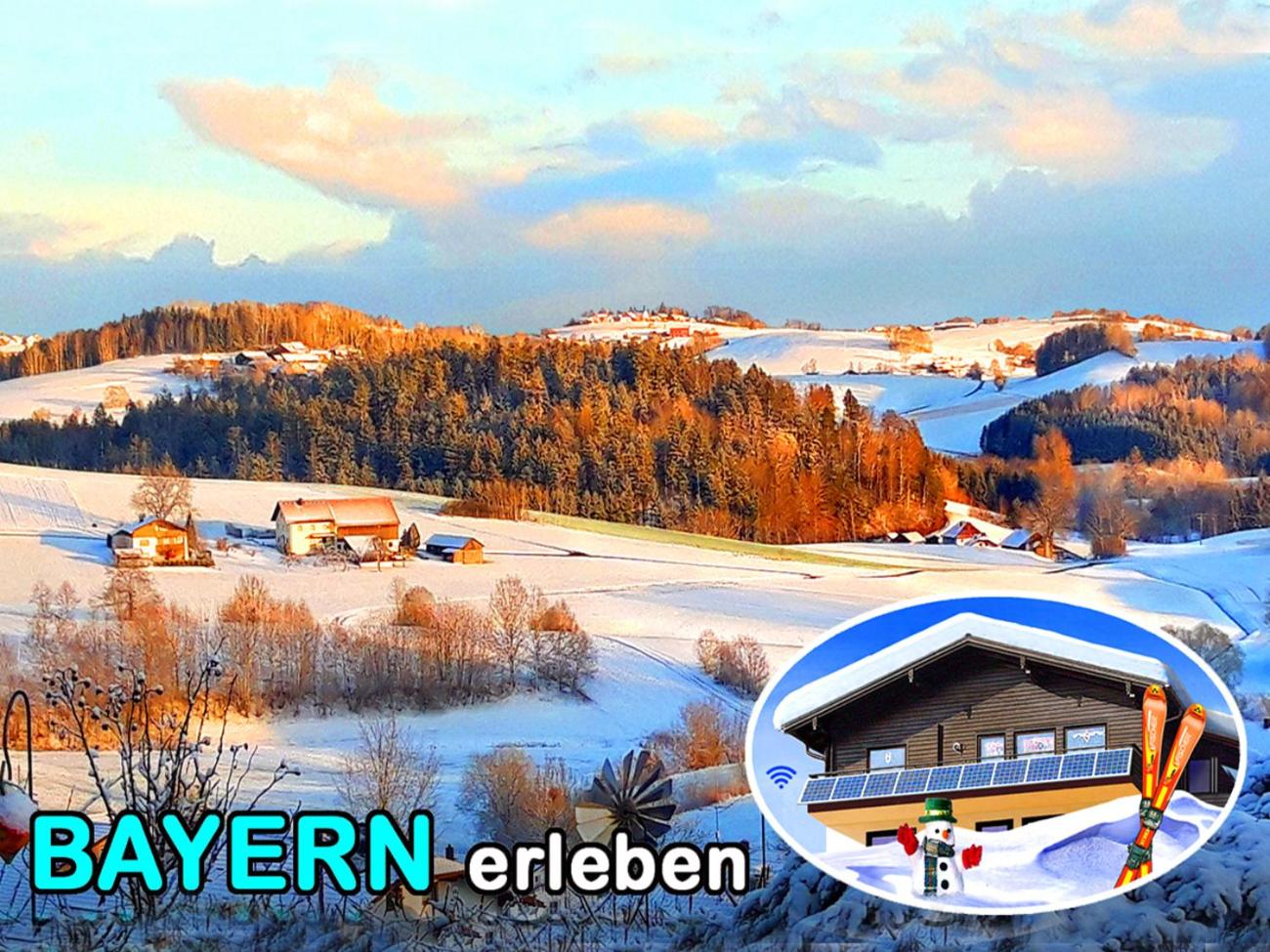 BayerischerWald-Ferien-Blockhaus-Panoramablick-Grafenau Haus im Wald-Vogelthenne 19, fast Alleinlage-ILZtal-Blick nähe Rothauer, Saldenburger, Ebenreuther 