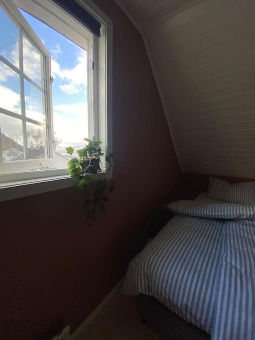 Charming, old house, former service residence