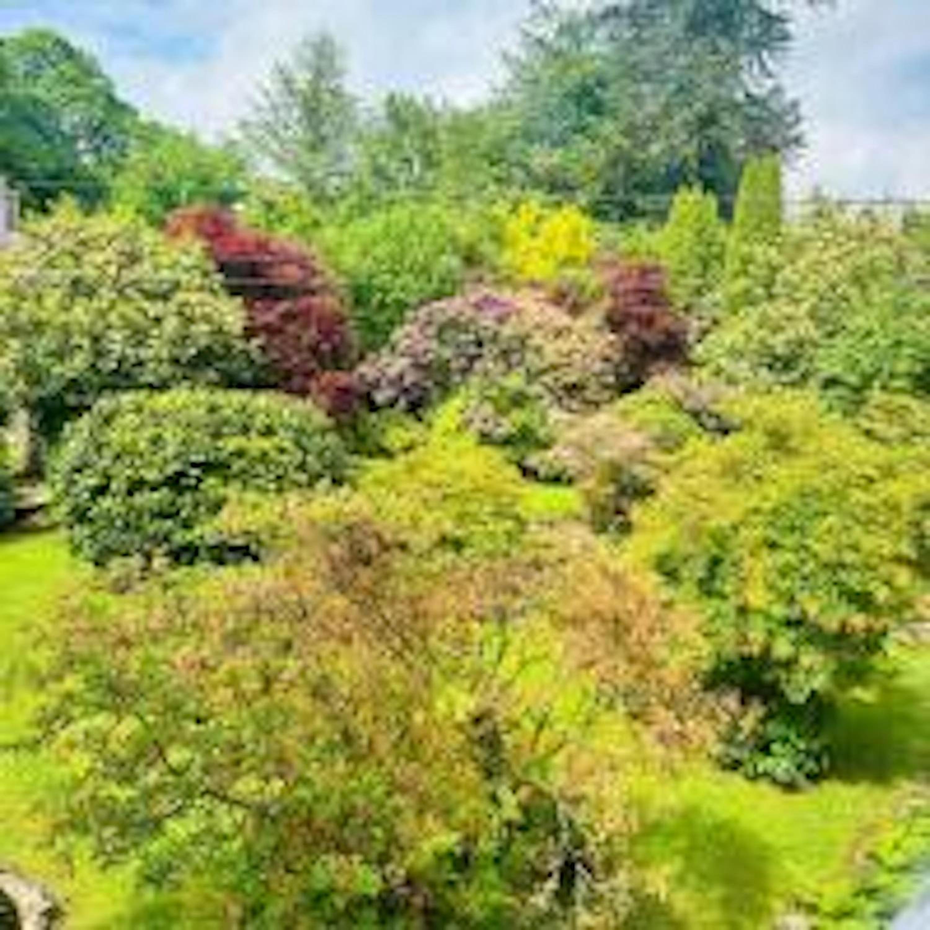 Moorswater Lodge Country House with Wine Bar