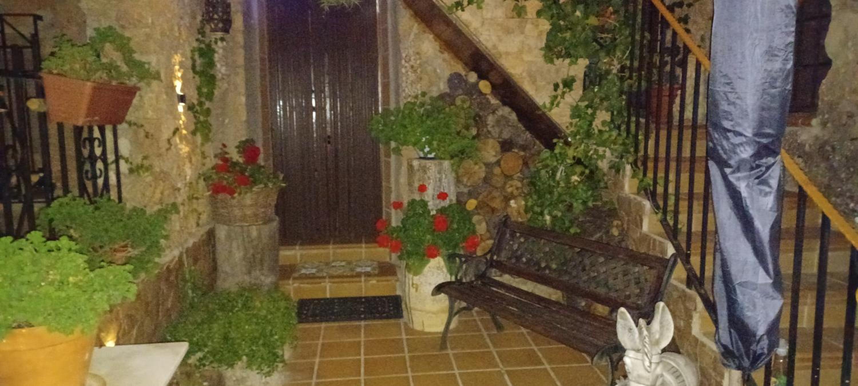 Photo 8
