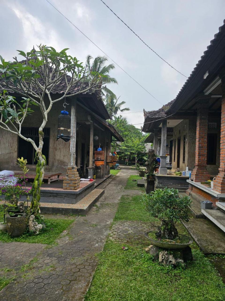Jero Pinge Homestay view 2