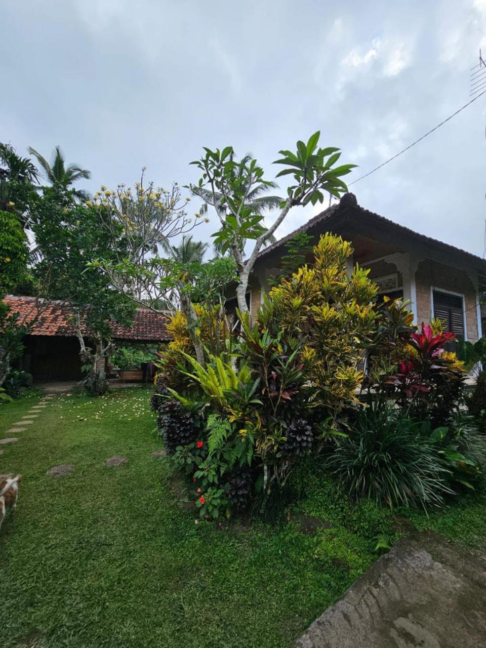 Jero Pinge Homestay view 3