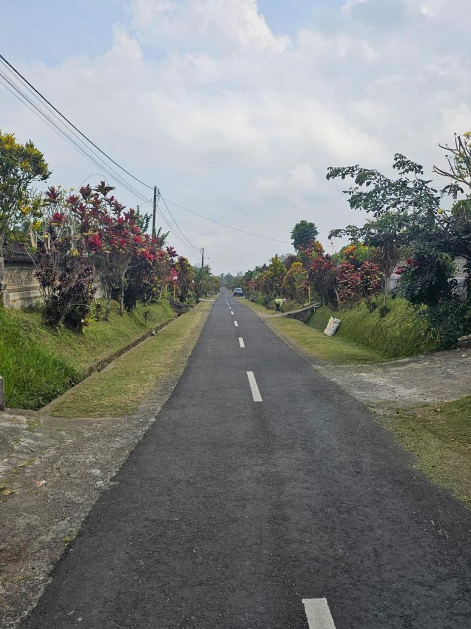 Jero Pinge Homestay view 5