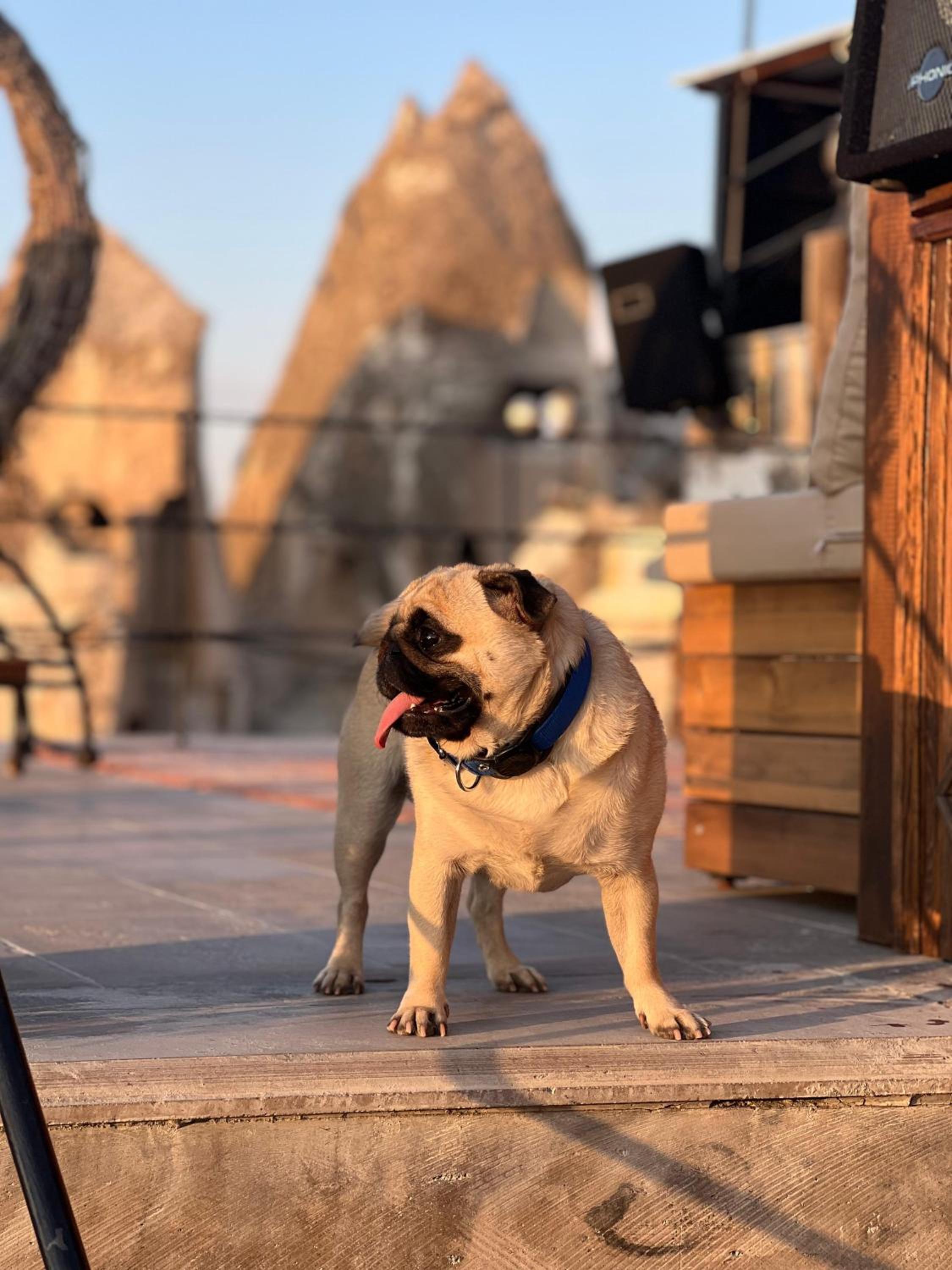 Castle Cave Hotel - Image 19