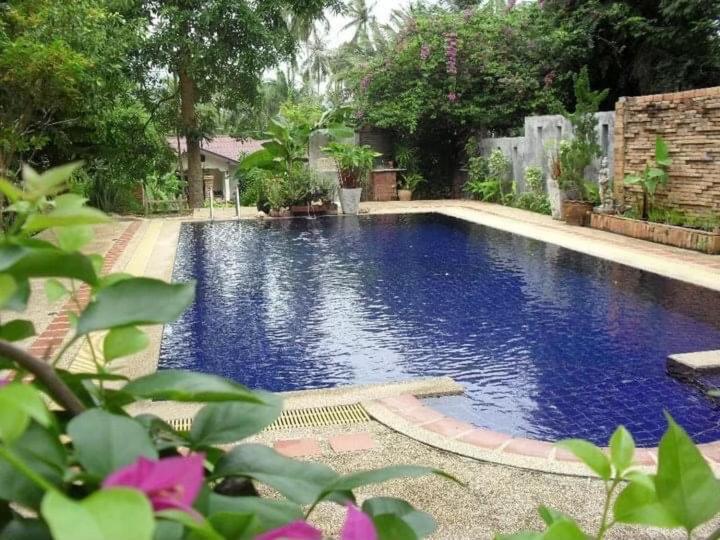 Ananas Samui Hostel