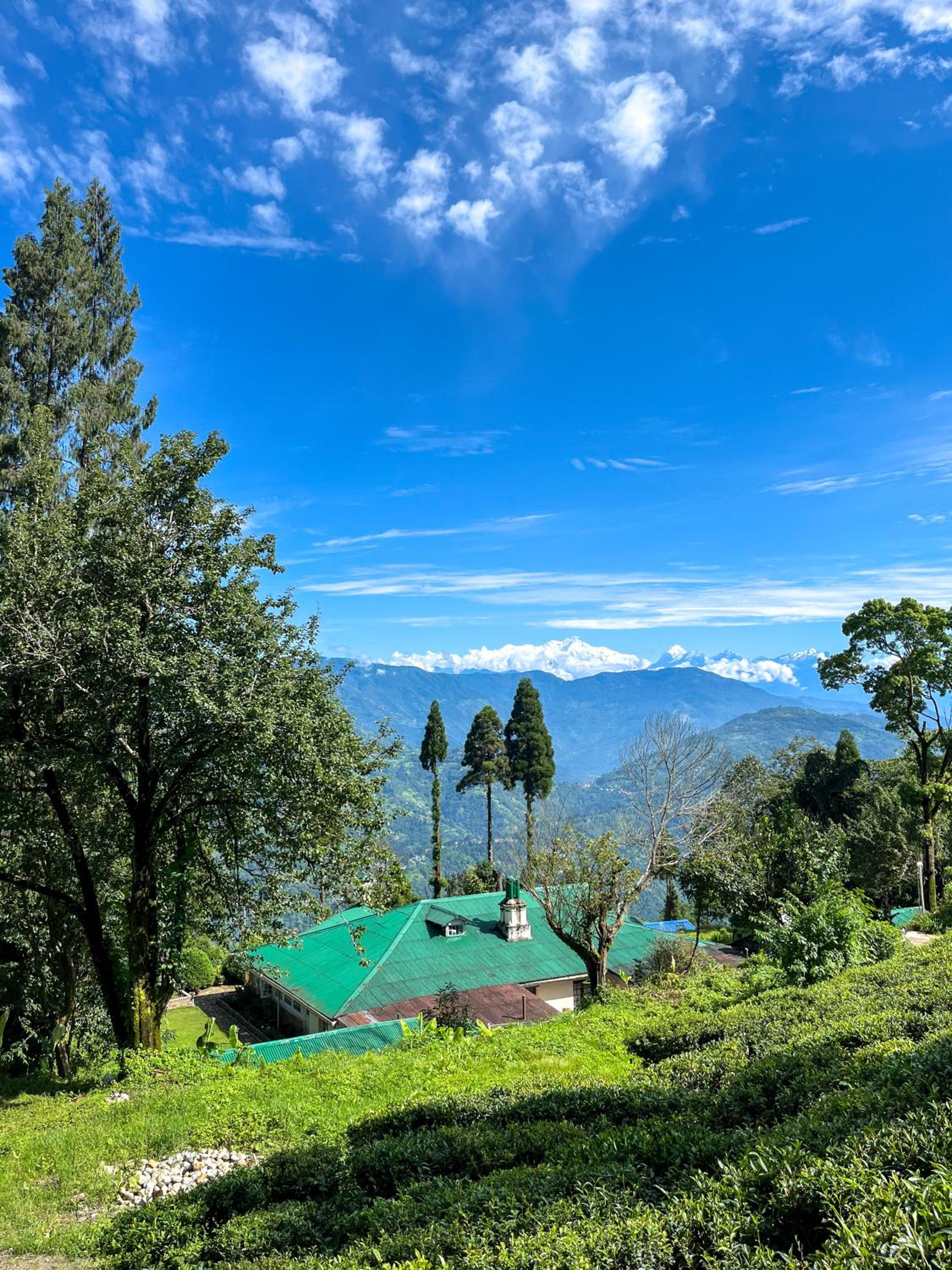 Yule Tea Retreat, Darjeeling view 3