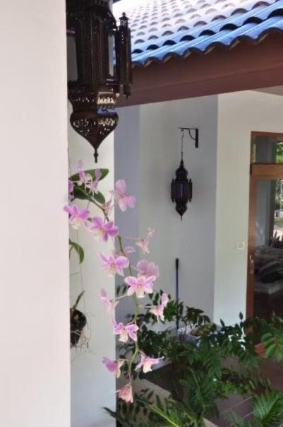 Ananas Samui Hostel