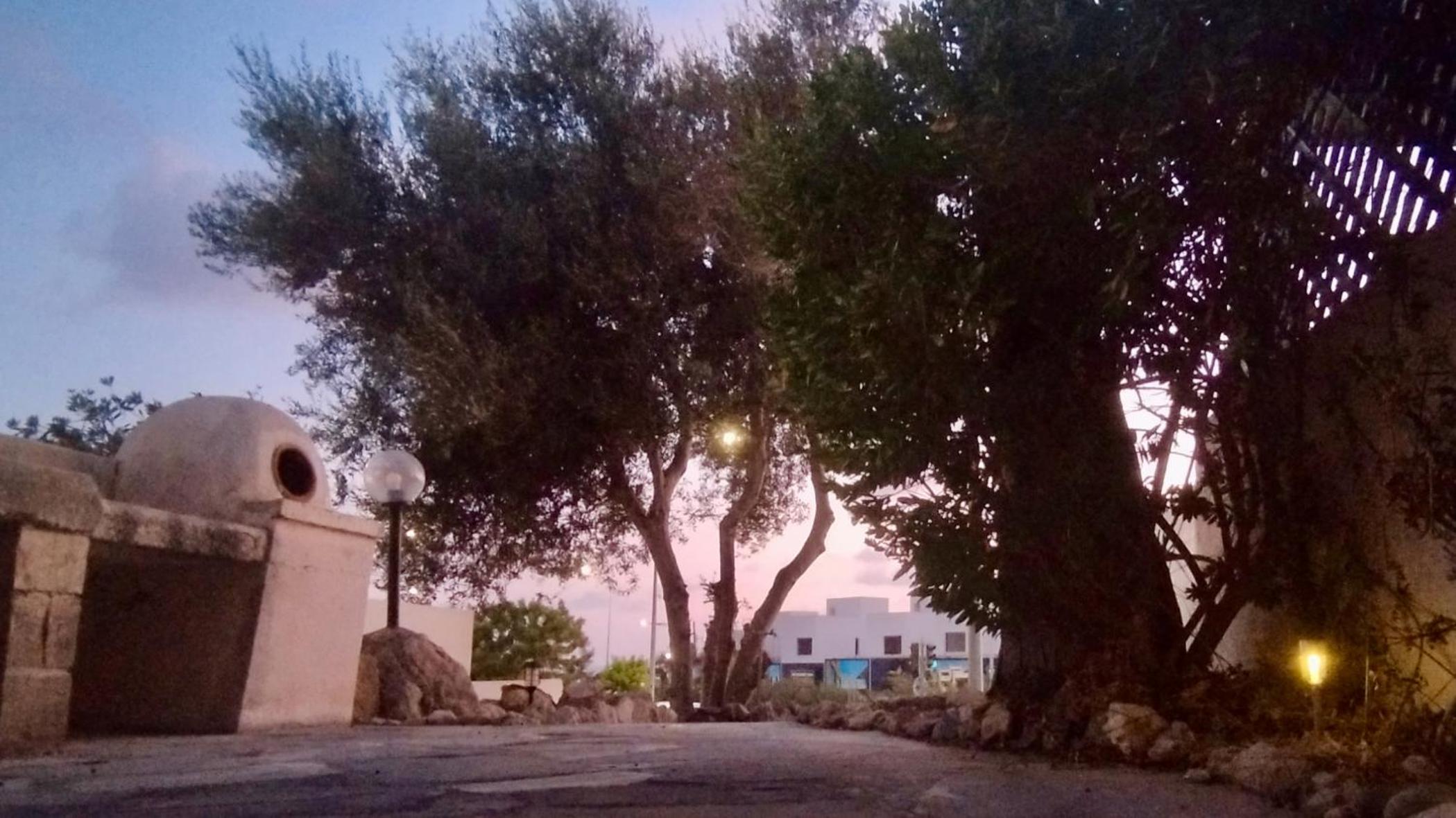 Holiday House in Paphos Tomb of the Kings