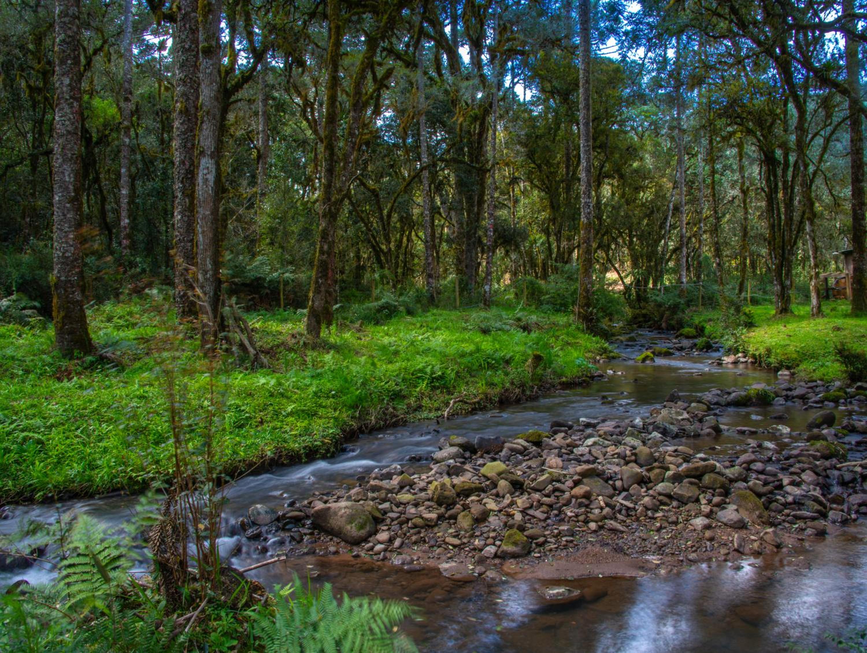 Refúgio Três Catarinas