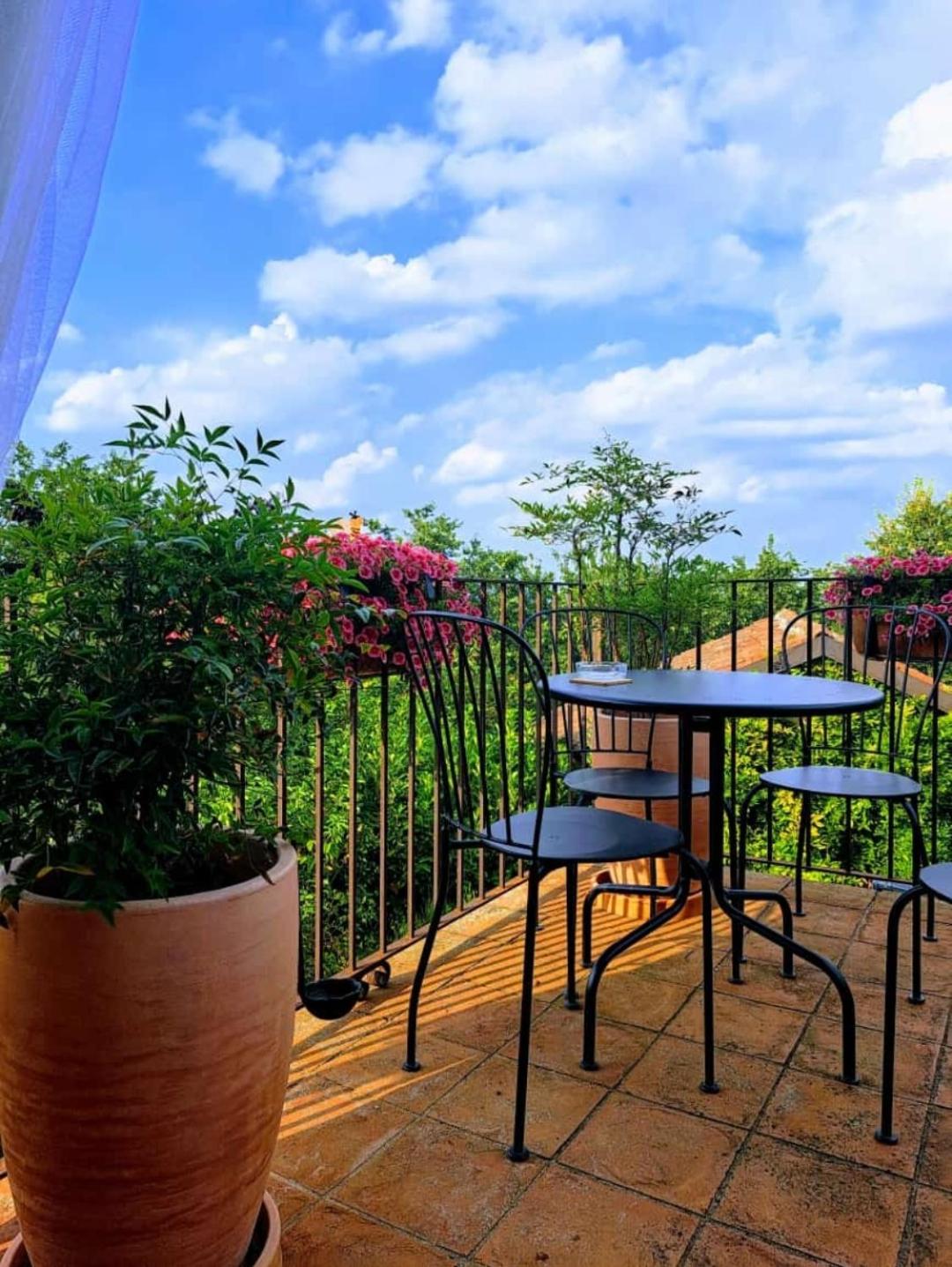 balance & terrace