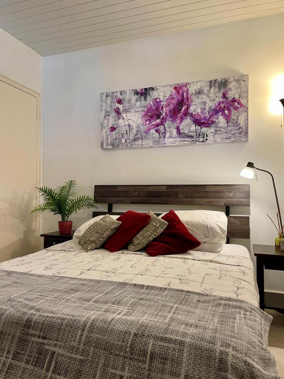 Palmhouse Aruba 1-2 persons