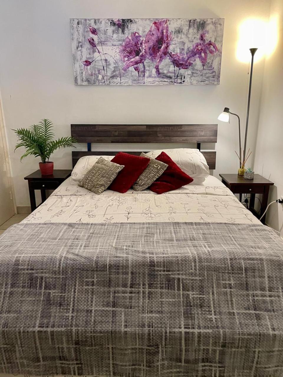 Palmhouse Aruba 1-2 persons