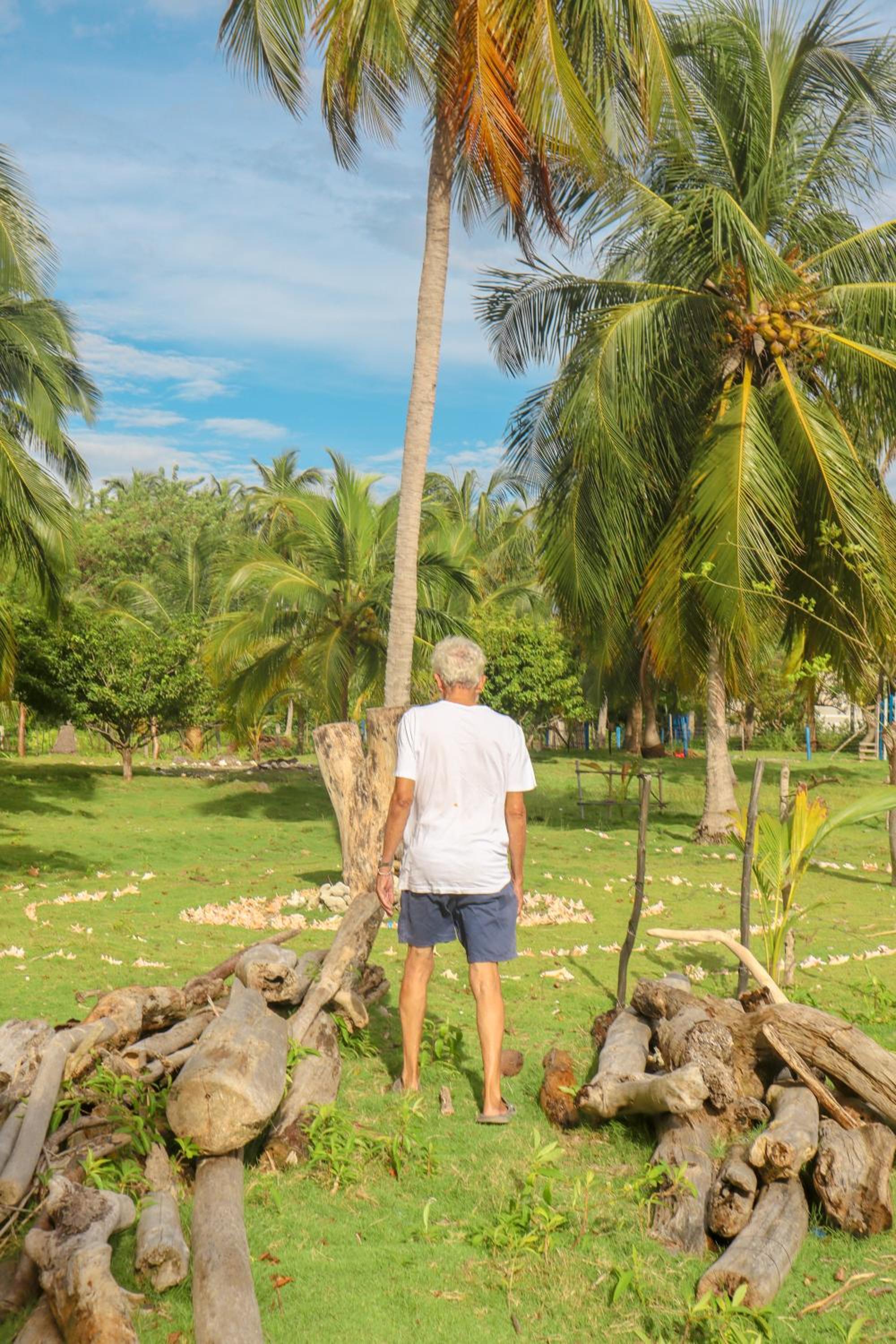 Isla Múcura Dahlandia