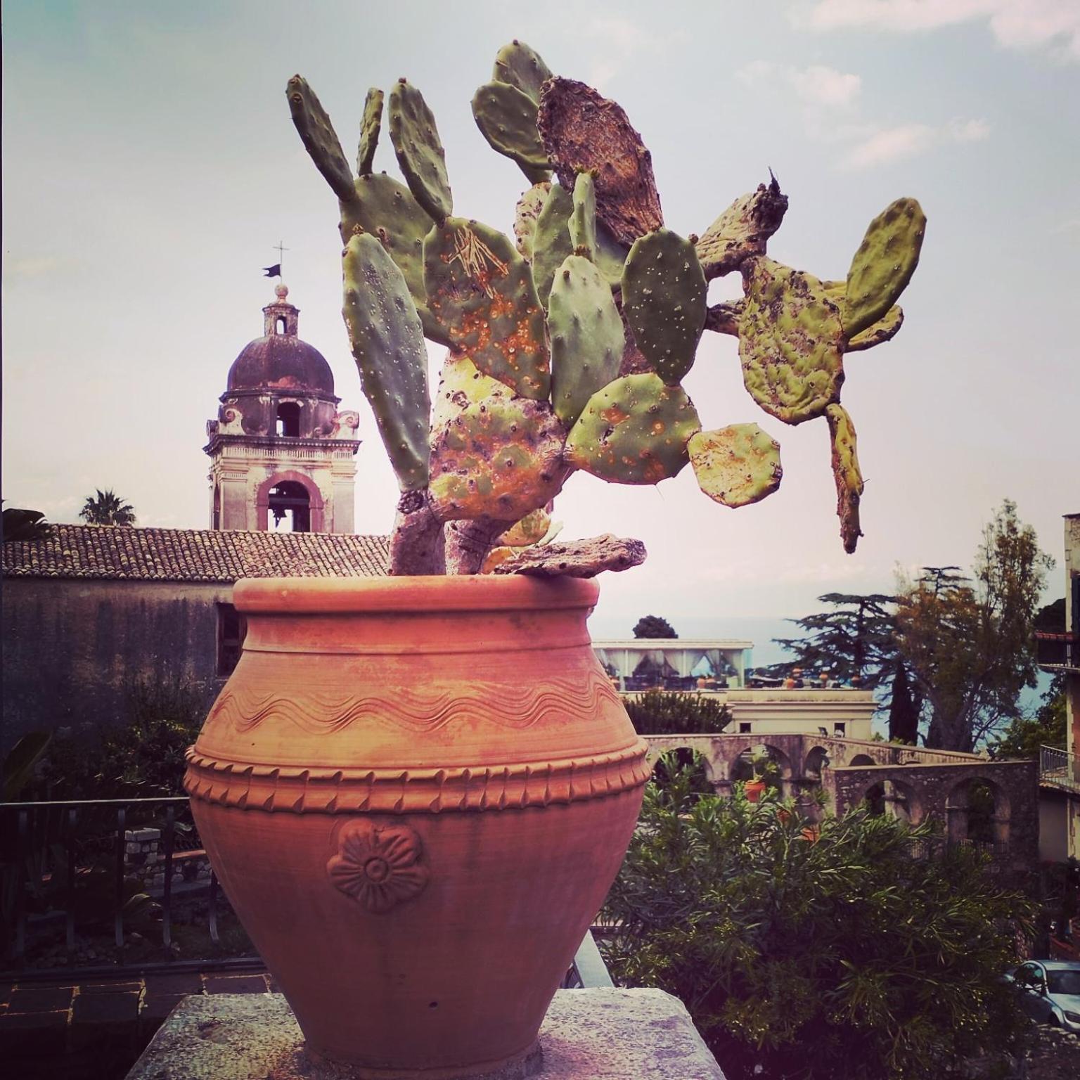 Casa Basilico' Taormina view 3